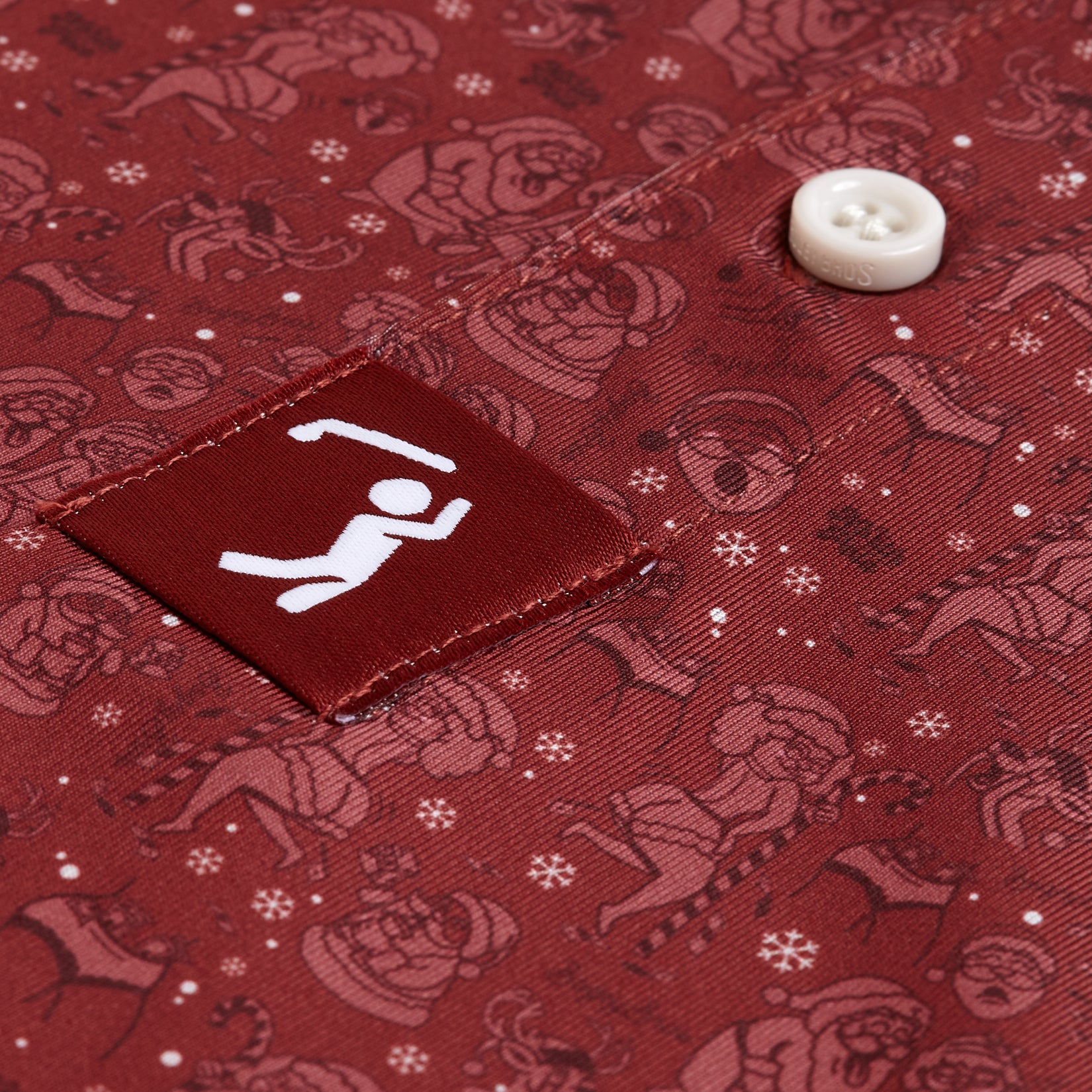 The North Pole - Polo